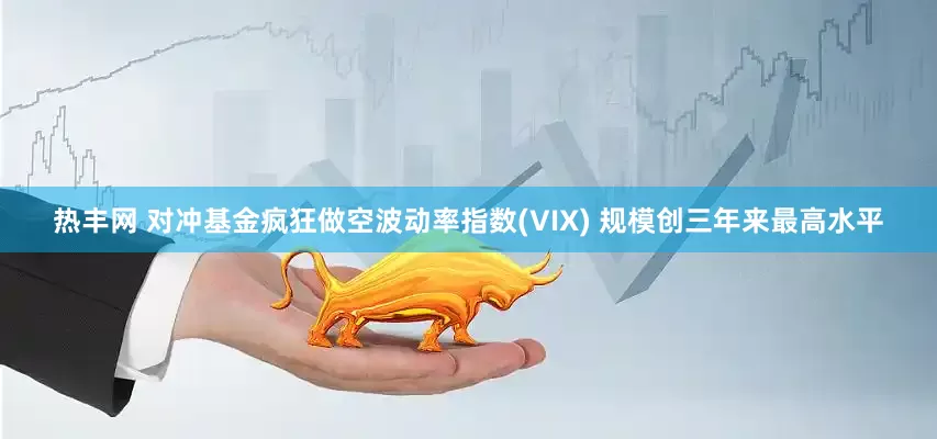 热丰网 对冲基金疯狂做空波动率指数(VIX) 规模创三年来最高水平