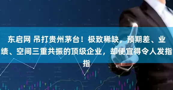东启网 吊打贵州茅台！极致稀缺，预期差、业绩、空间三重共振的顶级企业，却便宜得令人发指