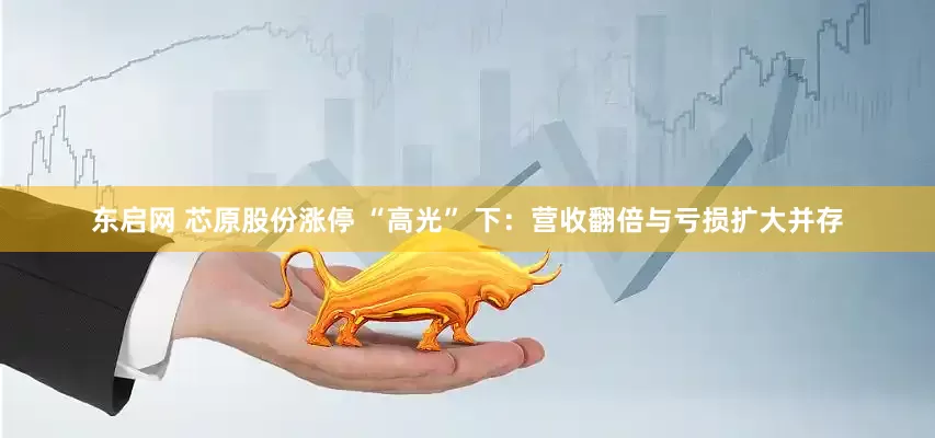 东启网 芯原股份涨停 “高光” 下：营收翻倍与亏损扩大并存