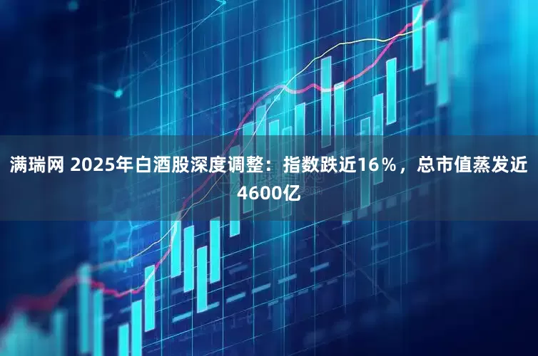 满瑞网 2025年白酒股深度调整：指数跌近16％，总市值蒸发近4600亿